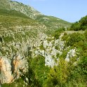 DSCN7462
