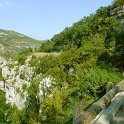 DSCN7465