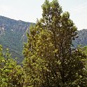 sommerferie2004-54