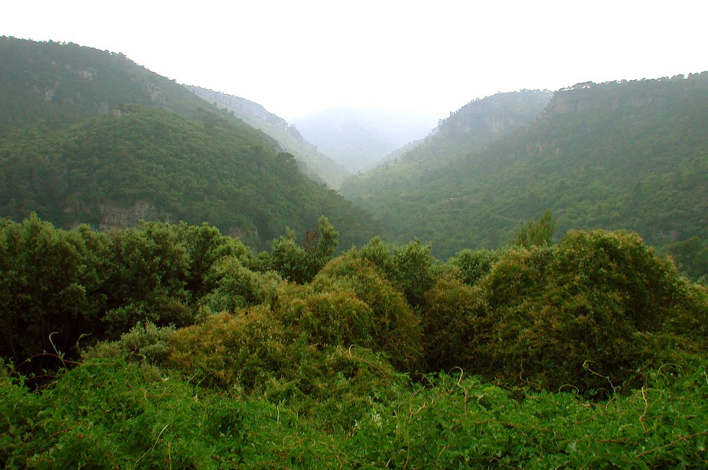 DSCN7524