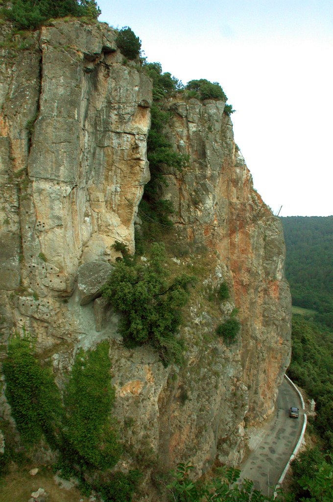 DSCN7536