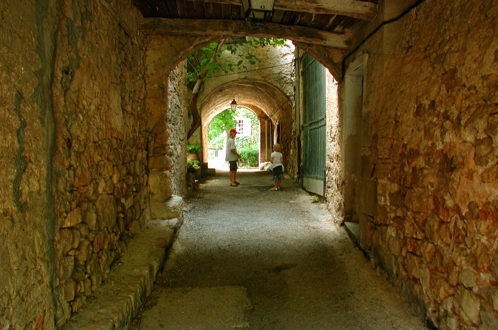 DSCN7542