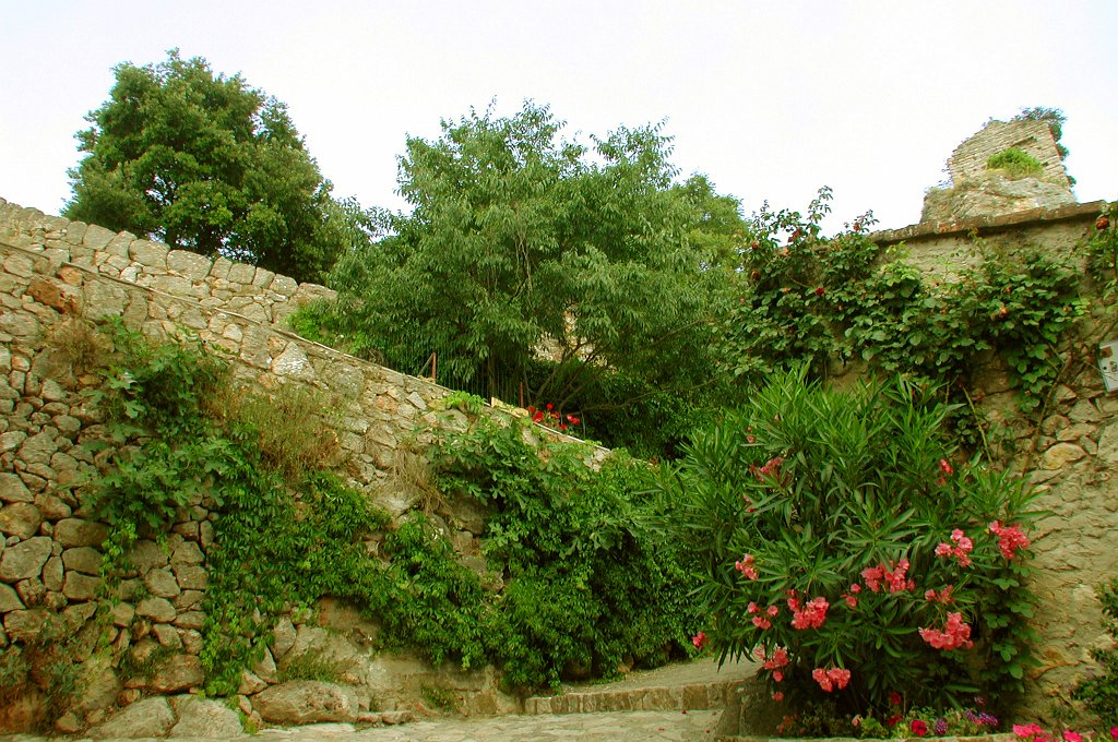 DSCN7543