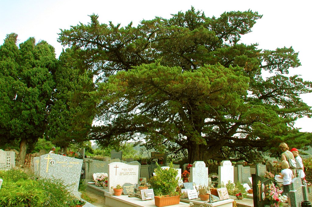 DSCN7549