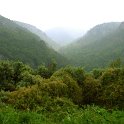 DSCN7524