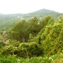 DSCN7525