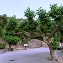 DSCN7528