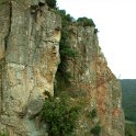 DSCN7536