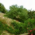 DSCN7543