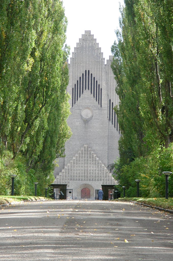 DSCN8300