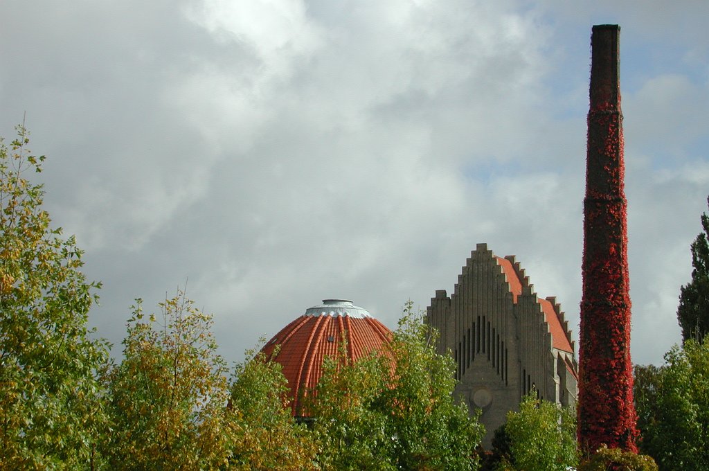 DSCN8304
