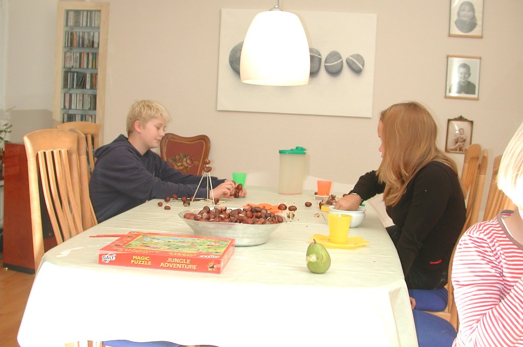 DSCN8373