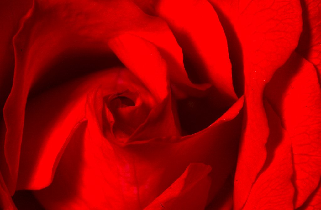 DSC_0549