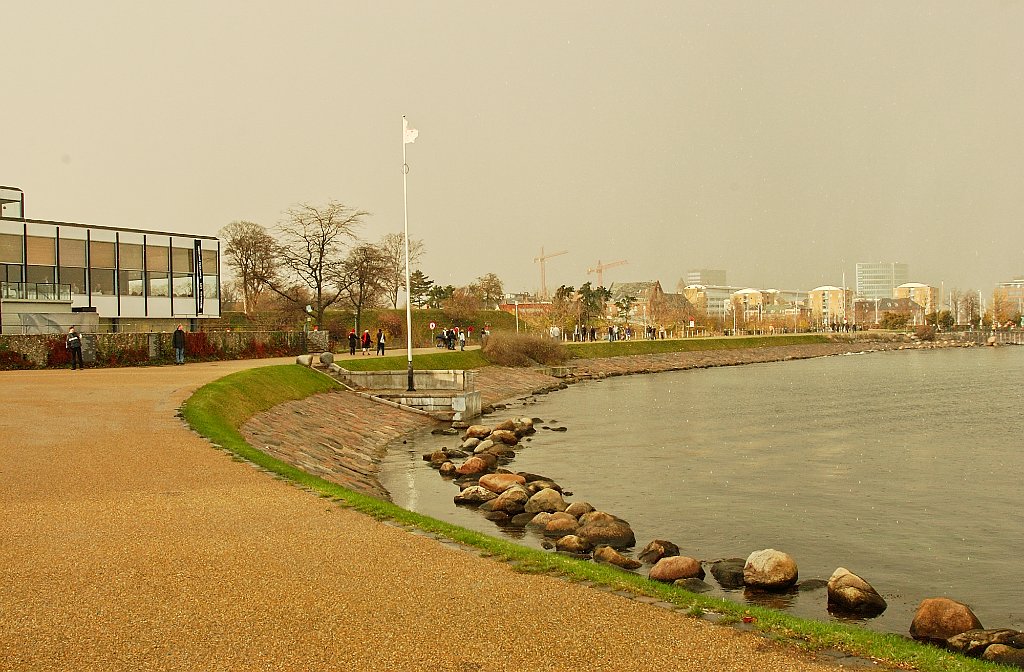 DSC_1045