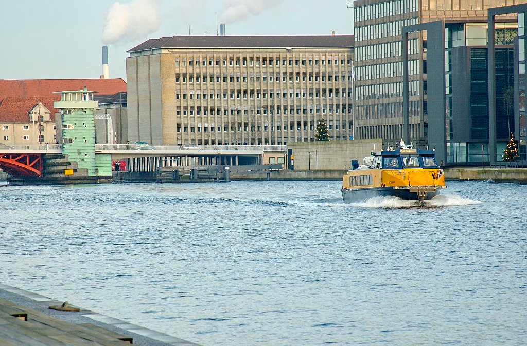 DSC_1296