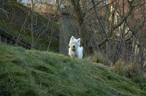 DSC_2197