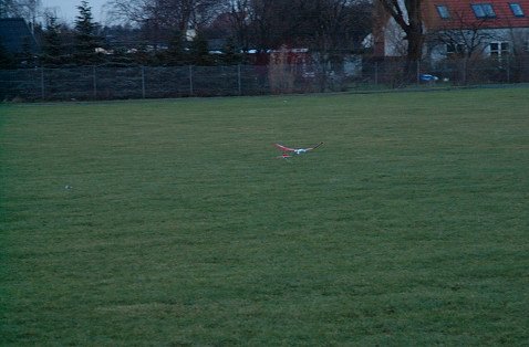 DSC_2462