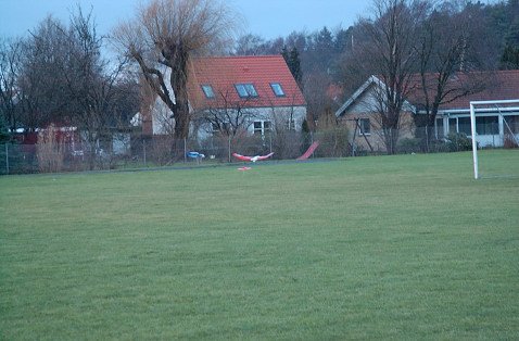 DSC_2463
