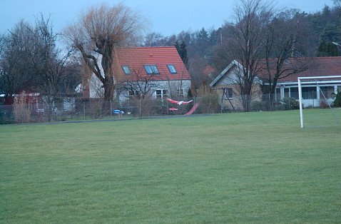 DSC_2464