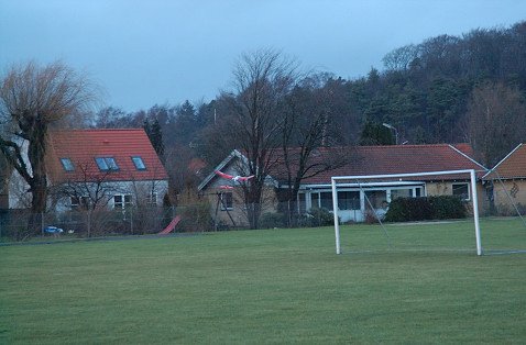 DSC_2465