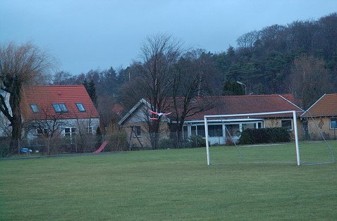 DSC_2466