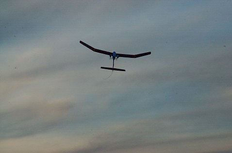 DSC_2470