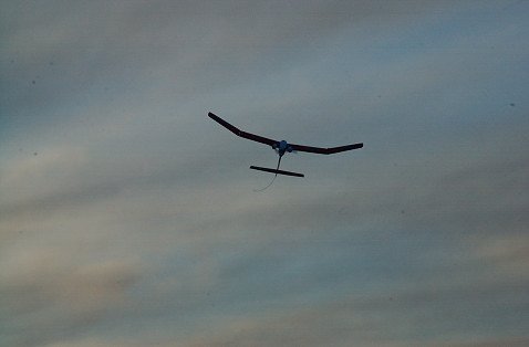 DSC_2471