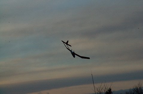 DSC_2472