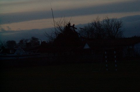 DSC_2473