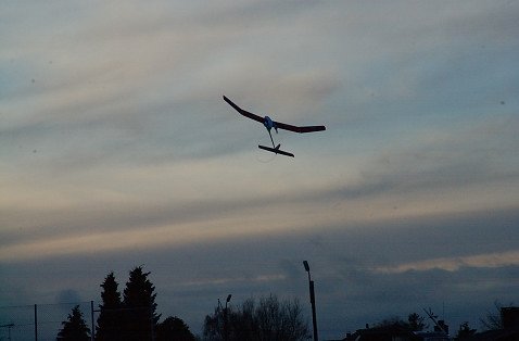 DSC_2475