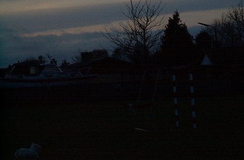 DSC_2478