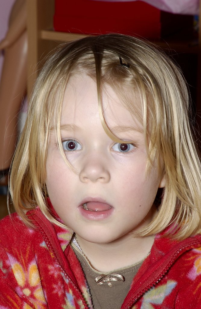 DSC_0654