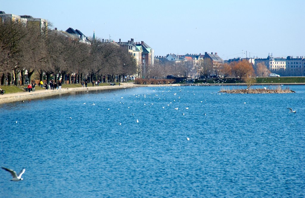DSC_1072