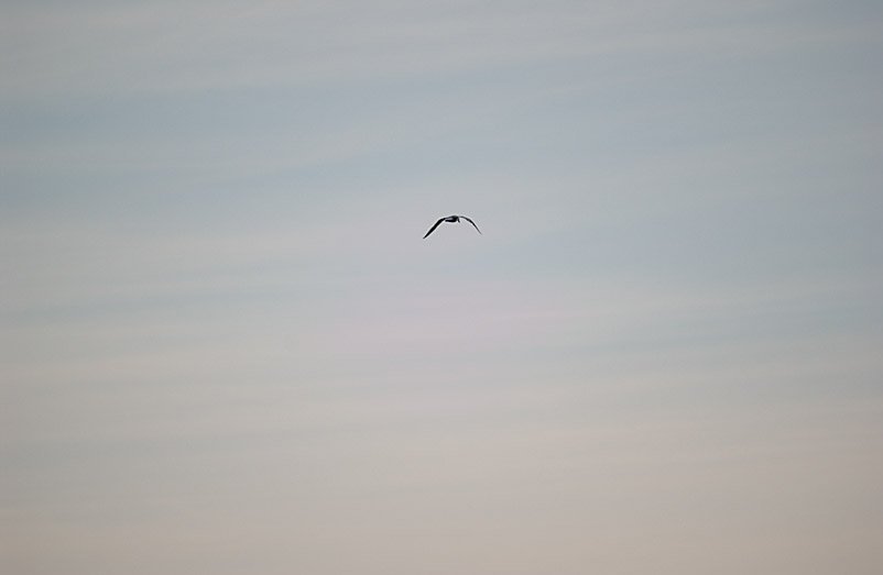 DSC_1745