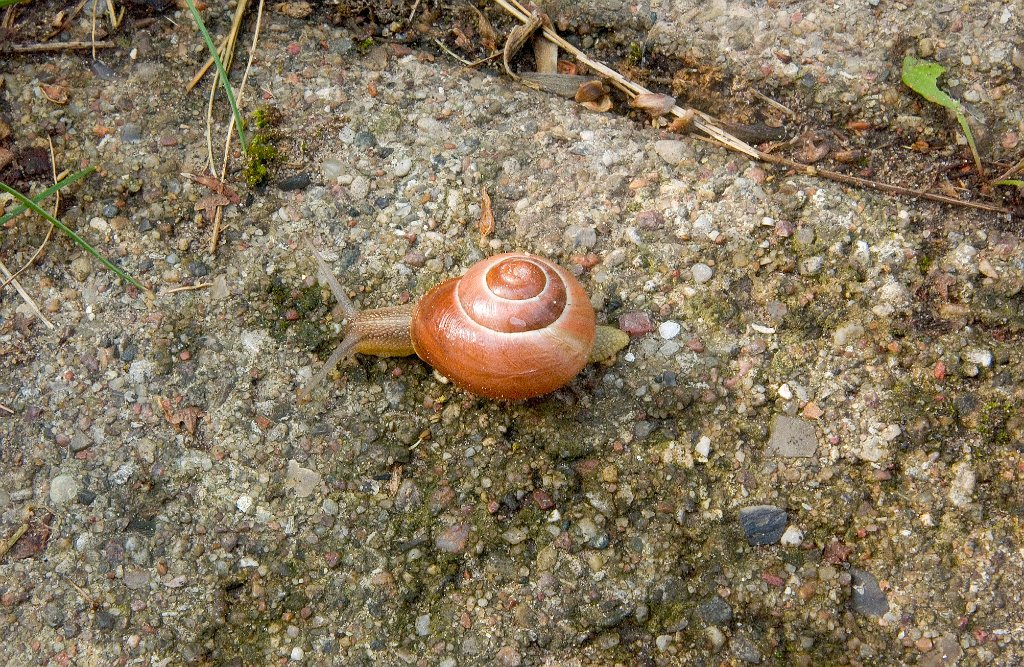 DSC_2364