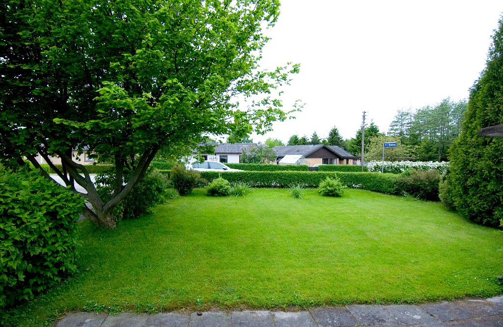 DSC_2393