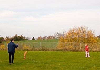 Untitled-1
