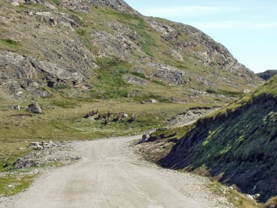 P6290009