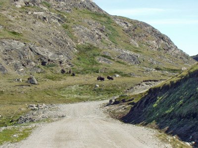 P6290010