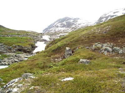 P7010029