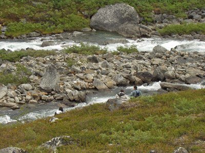 P7010030