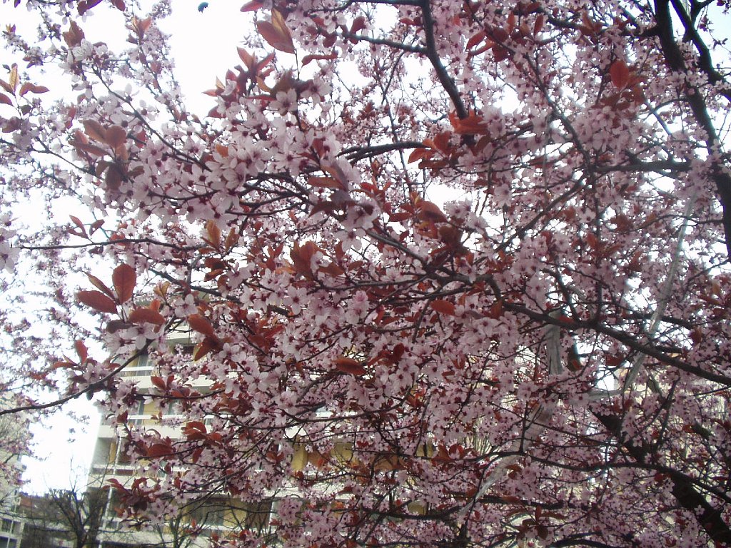 P1010023