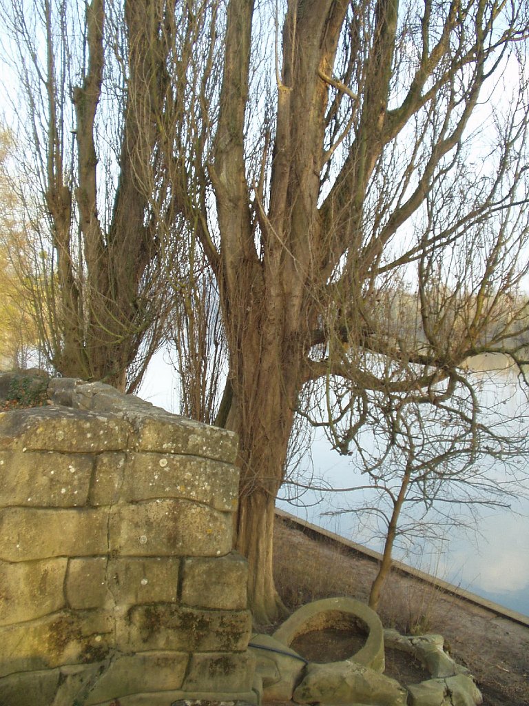P1010140