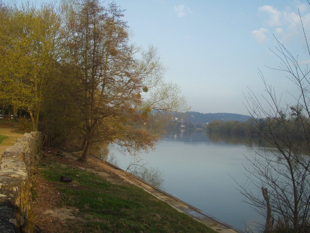 P1010141