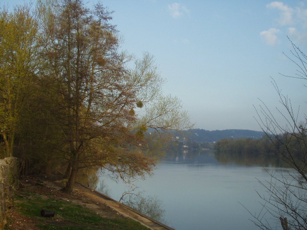 P1010142