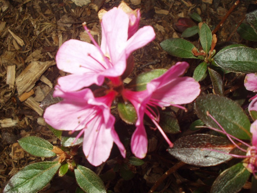 P1010143