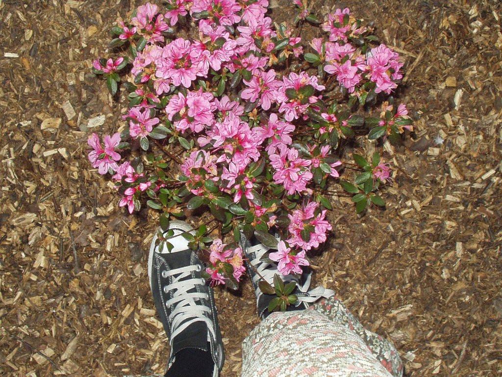 P1010144