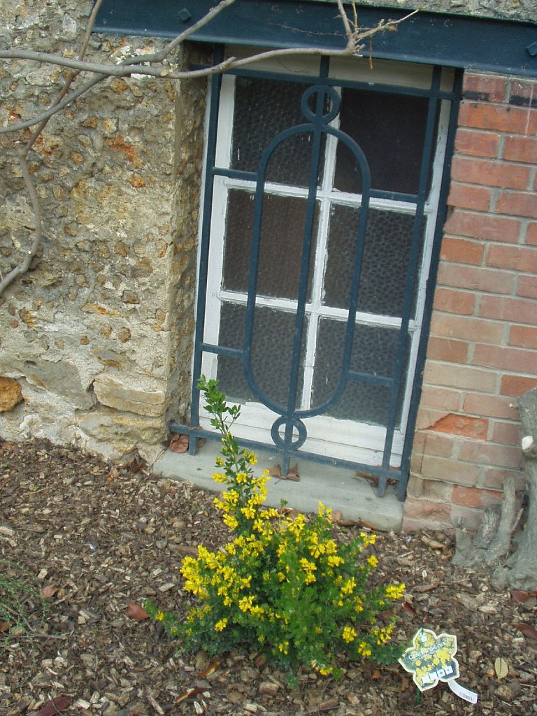 P1010147