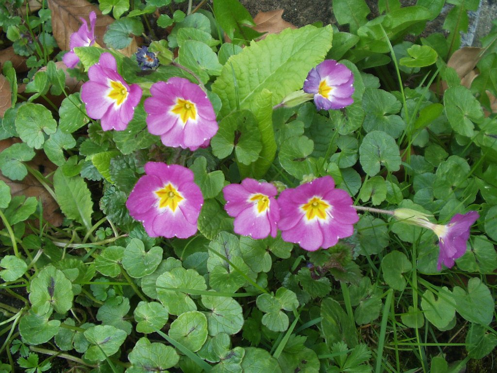 P1010151