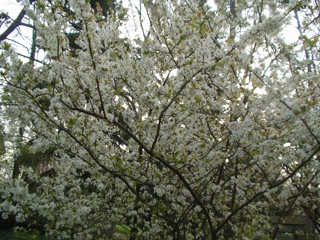P1010152